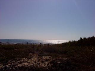 Demain, je rentre au bercail !