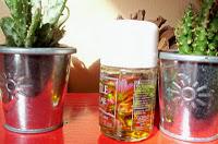 Dernière Cueillette avant le départ