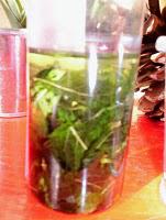 Dernière Cueillette avant le départ