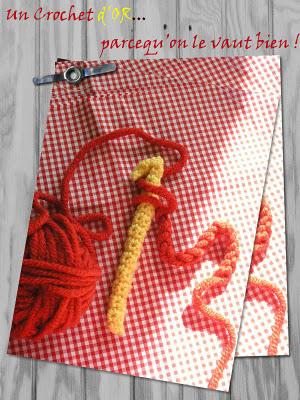 Serial Crocheteuse #50