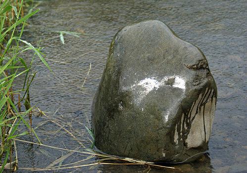 je-me-souviens-de-ce-caillo.jpg