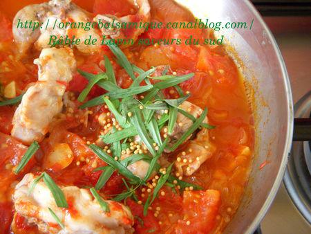 R_bleDeLapinSaveaursDuSud