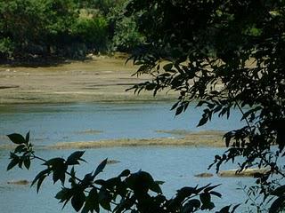 AILLEURS ! c'est aussi chez moi