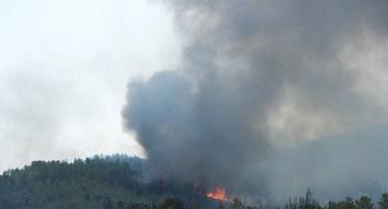 INFO CODIS 2B : L'incendie à Erbajolo (Haute-Corse) est fixé depuis 17h30