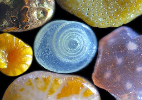 Je suis en tout (Kabîr)