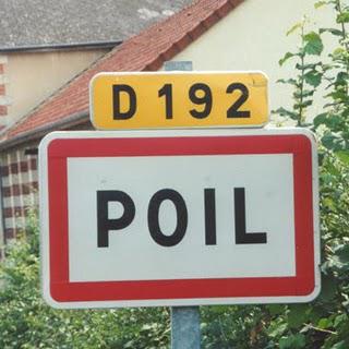 une histoire au poil