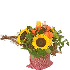 Interflora-Perpignan