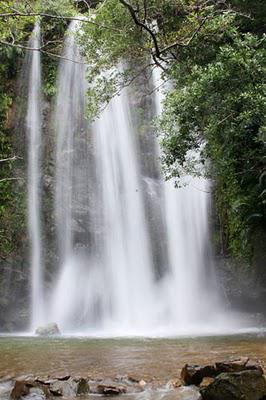 Tadake Falls : le Jurassic Park