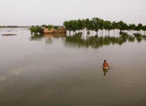 Flash sur l'actualité ..