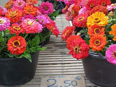 Un dimanche avec Dakota