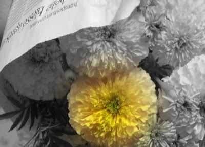 Un dimanche avec Dakota