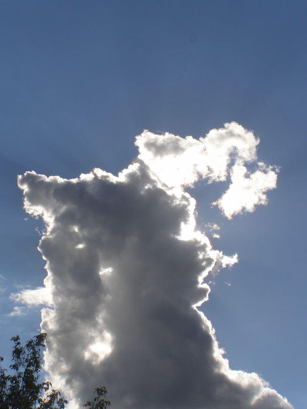 Elire demeure au cœur d’un nuage (Claude Pujade-Renaud)