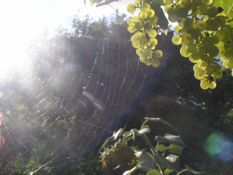 Peut-être une autre lumière (Guillevic)