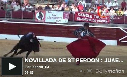 NOVILLADA DE SAINT PERDON : JUAN DEL ALAMO