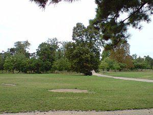 Bois de Vincennes l'été