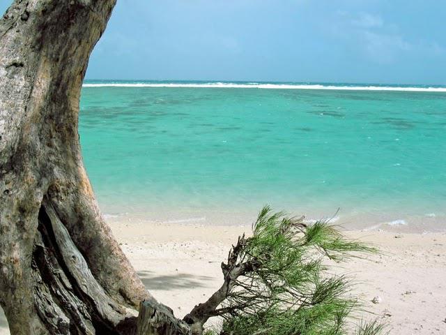 au 30 du mois da out