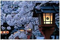 Petites vacances du Blog