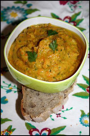 tartinade_carotte_courgette_corail