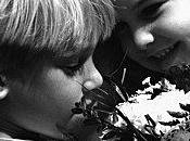 L'apprentissage (livret