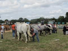 Un dimanche…. au coeur d’un comice