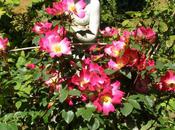 Nous fleurs (Pär Lagerkvist)