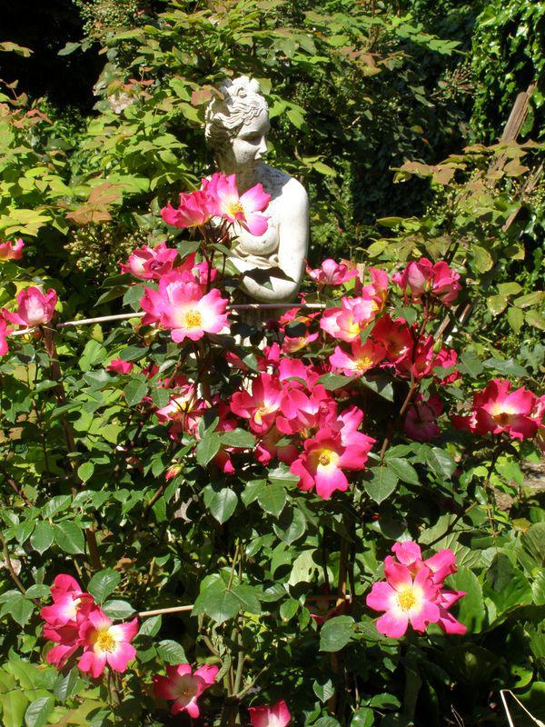 Nous les fleurs (Pär Lagerkvist)