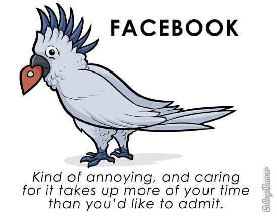 L'animal en logo des sites Web...