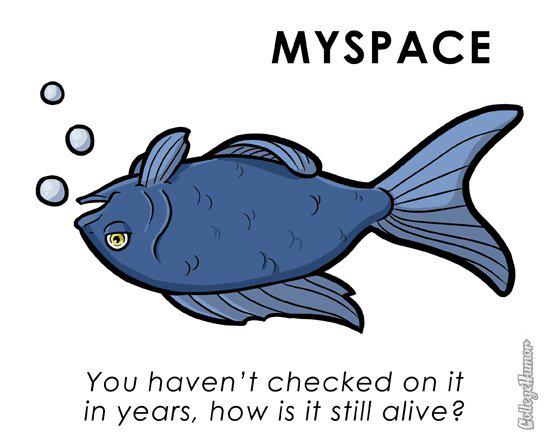 L'animal en logo des sites Web...