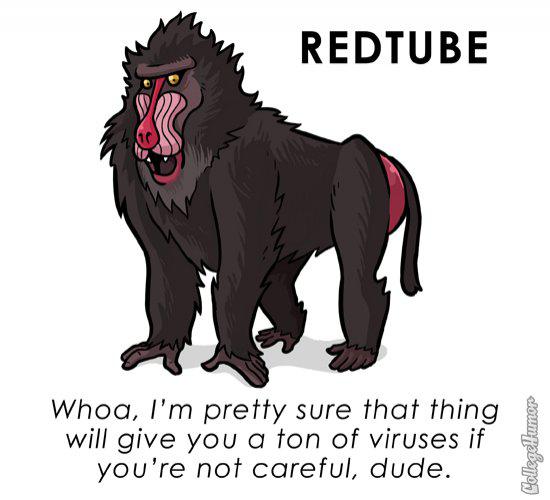 L'animal en logo des sites Web...