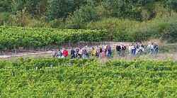 Avez-vous le pied ligérien ?