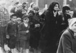 Enfants juifs hongrois à Auschwitz 1.jpg