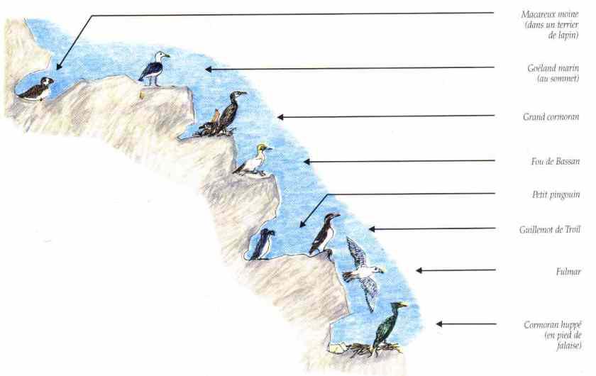 La niche écologique