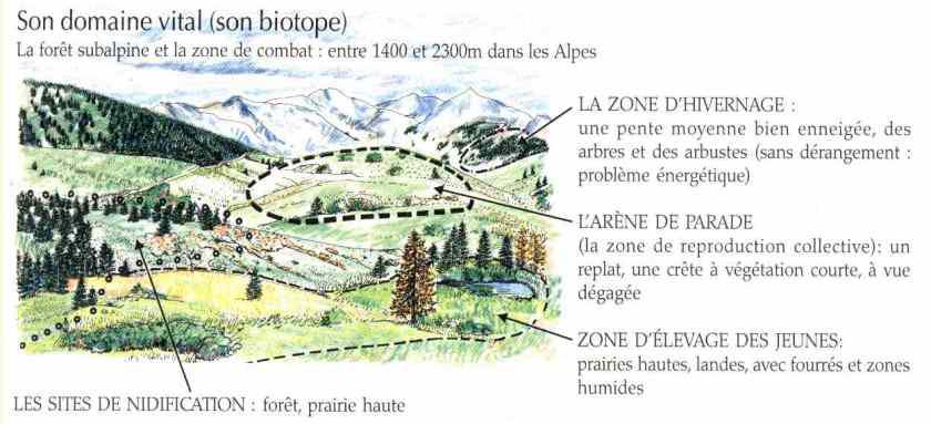 La niche écologique