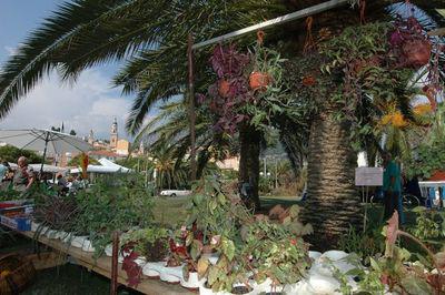 20es JOURNEES MEDITERRANEENNES DU JARDIN