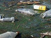 Contamination millions déchets plastiques polluent Littoral