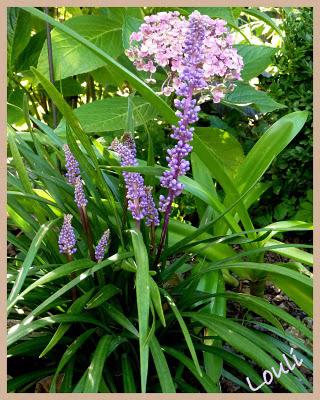 Un petit air d'automne...