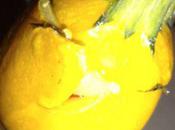 Drôle courgettes...