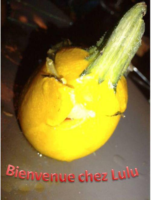 Drôle de courgettes...