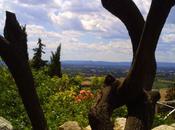 poème inédit blog:La nature-artiste