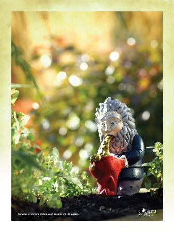 sierra club go organic nain 1 ong communication pub