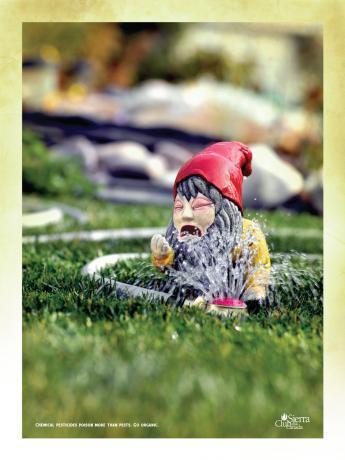 go organic sierra club nain 2 ong communication pub