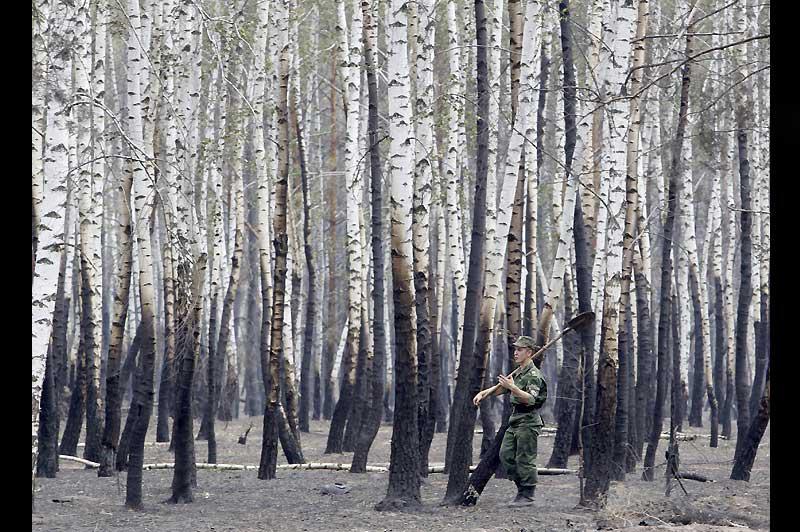 Samedi 30 juillet, dans les environs de Voronezh, un soldat russe traverse une forêt de bouleaux ravagés par les flammes. La Russie connaît sa pire canicule depuis 130 ans et près de 700 feux ont déjà dévorés plus de 1000km2. 