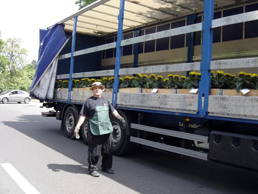 pascal le jardinier avec ses tournesols dans son camion avant le départ aux champs elysées pour l'événement Nature Capitale