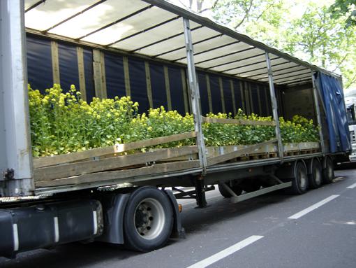 Nature Capitale / camions « biodiversité»  en attente au bois de Vincennes avant les Champs Elysées