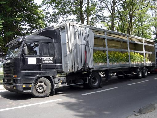 Nature Capitale / camions « biodiversité»  en attente au bois de Vincennes avant les Champs Elysées
