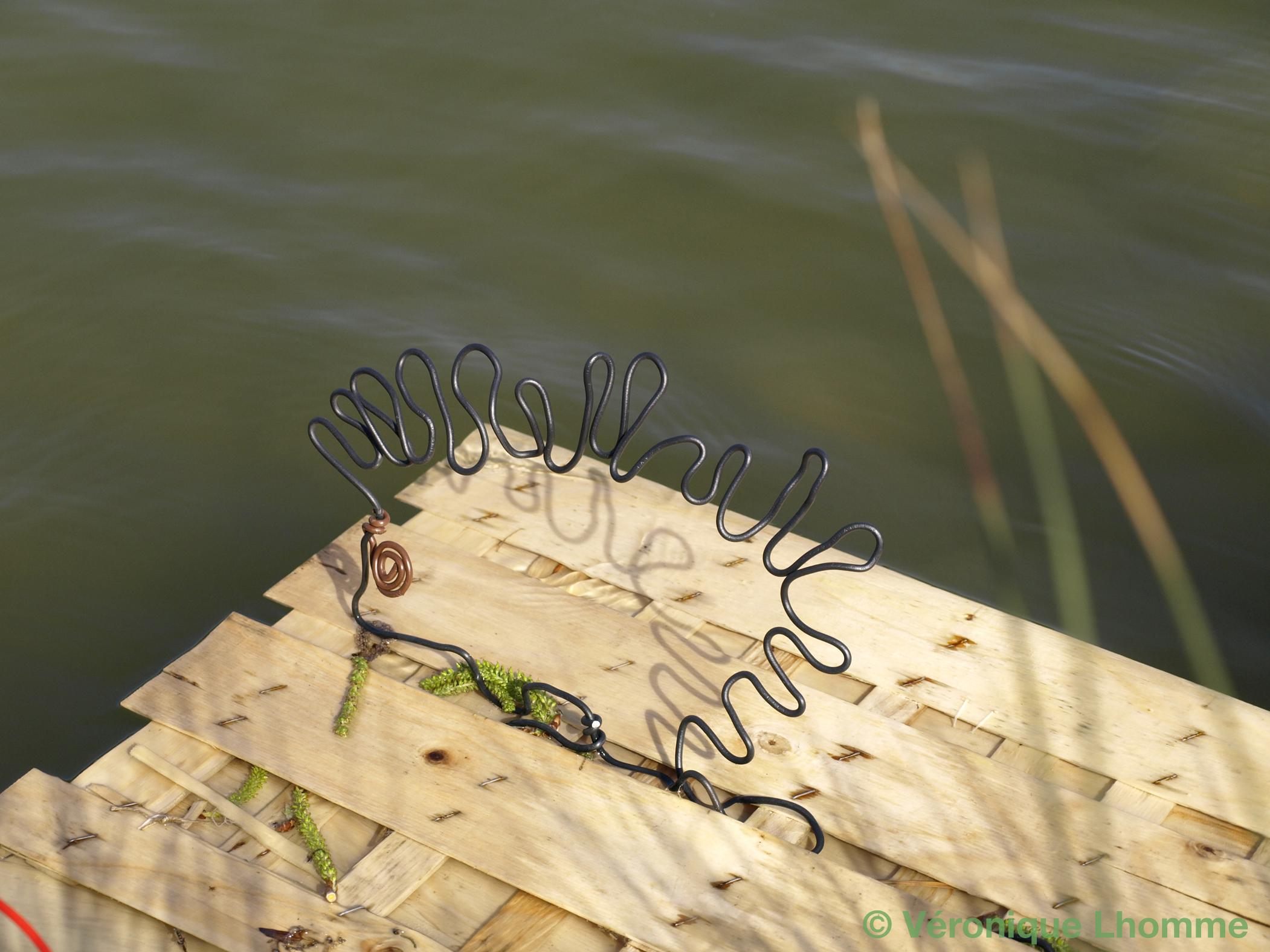 herisson noir, ecoradeau paris label - photo V. Lhomme