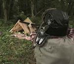 Un ours, un chasseur et du Tipp-Ex