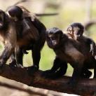 thumbs animaux droles 012 Animaux droles du Jour =) (83 photos)