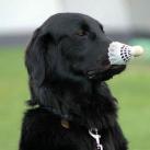 thumbs animaux droles 028 Animaux droles du Jour =) (83 photos)