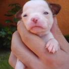 thumbs animaux droles 033 Animaux droles du Jour =) (83 photos)